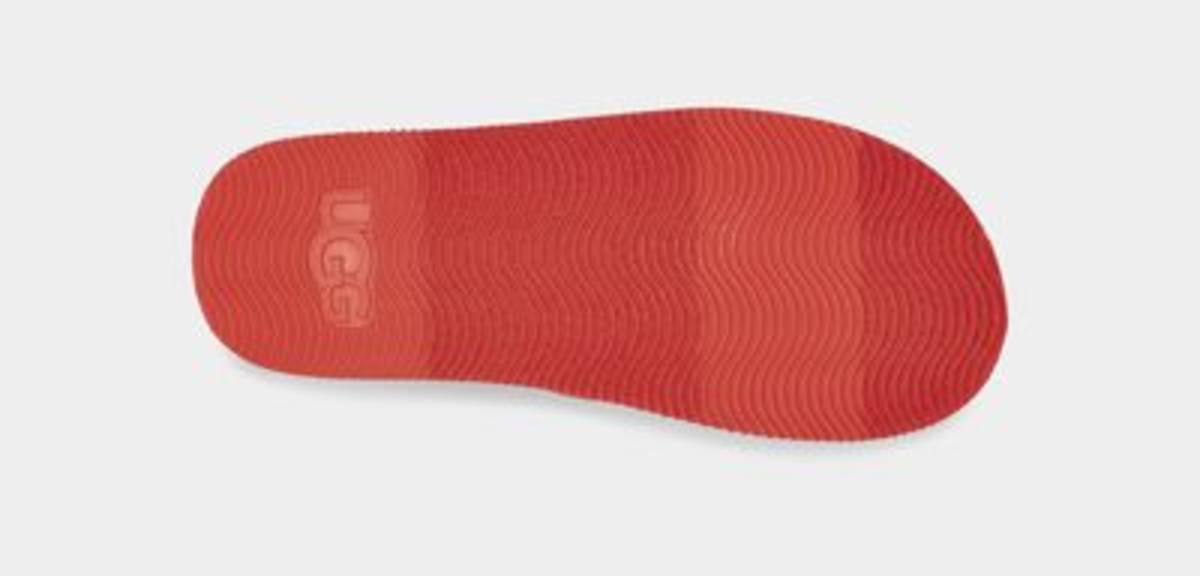 Zuma graphic slide cheap